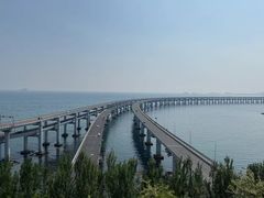 -星海湾跨海大桥