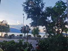 -野菌皇海景野生菌火锅(滨海大道店)