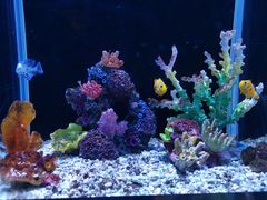 -秦皇岛新澳海底世界