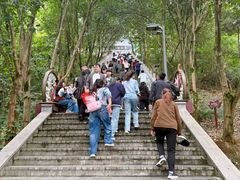 -成都老君山