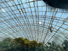 -盛泰恐龙谷温泉