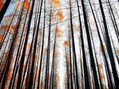 -山王坪喀斯特国家生态公园