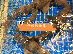 -聪辉同安老美食饭店(大元路店)