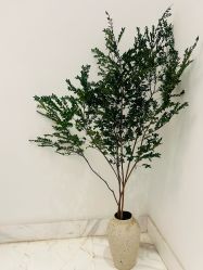 -尊尚柏丽美容SPA