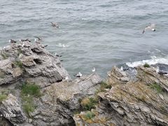 -大连金石滩滨海国家地质公园