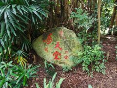 -深圳国际园林花卉博览园