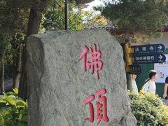 -普陀山风景区-佛顶山