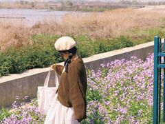 -合肥滨湖国家森林公园