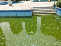-黄金海岸水上乐园