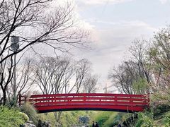 -羊山湖公园