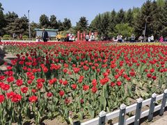 -长春公园(普阳街道)