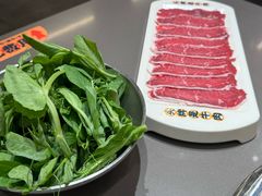 -岭南站NOVA