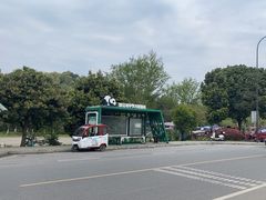 -都江堰中华大熊猫苑