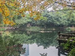 -望江楼公园