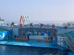 -海合安青岛极地海洋公园