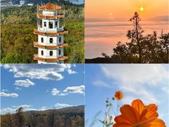 -五营红松林海景区