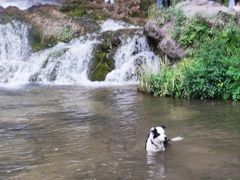 -沕沕水生态风景区