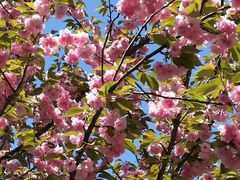 -沃阁巴厘原墅餐厅