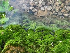 -响水风景区
