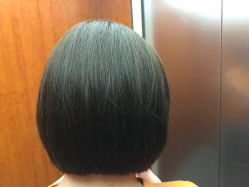 -大象造型