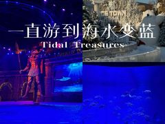 -哈尔滨波塞冬海底世界