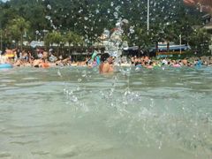 -重庆海昌加勒比海水世界