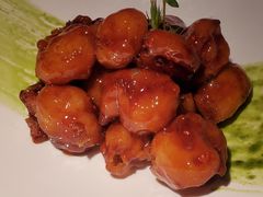 -桂满陇天书(南京德基旗舰店)