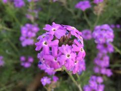 太湖湾开元名庭大酒店-太湖湾开元名庭大酒店