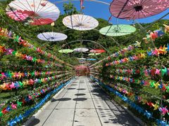 -参仙谷生态旅游度假区