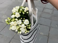 -成都市文殊院