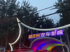 -枫花园汽车电影院(朝阳公园店)
