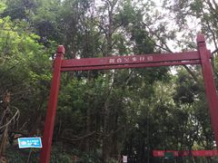 -大屏嶂森林公园