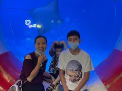 -烟台海昌鲸鲨海洋公园