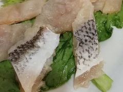 -金砂阿洲鱼册店