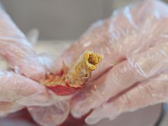 -丁老爷子苏香圆