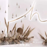 盘锦THD空间艺术-专属婚礼定制