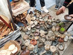 -重庆市江北嘴中央商务区中央公园