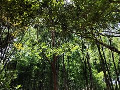 -天目湖御水温泉·度假酒店