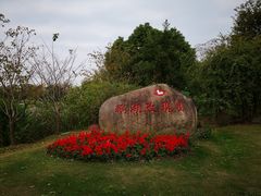 -鹅湖玫瑰文化园