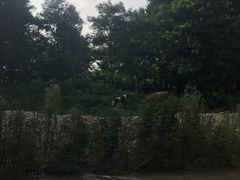 -紫荆关长城漂流
