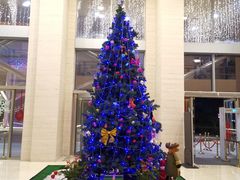 -广州富力君悦大酒店·凯菲厅