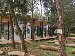 -南宁良凤江国家森林公园