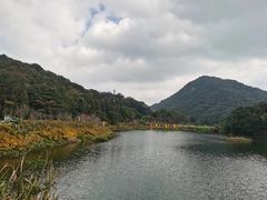 -广州市石门国家森林公园
