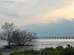 -宝安西湾红树林湿地公园