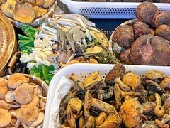 -阿山卓·野生菌火锅·纳西火塘烤肉