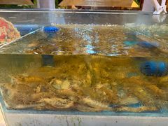 -盛宴标帜西餐厅龙虾.鲍鱼•牛排(重庆喜来登大酒店)