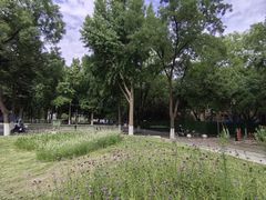 -山东大学(趵突泉校区)