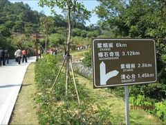-清溪森林公园