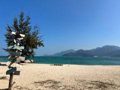 -花海间·即刻露营