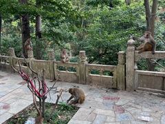 -黔灵山公园